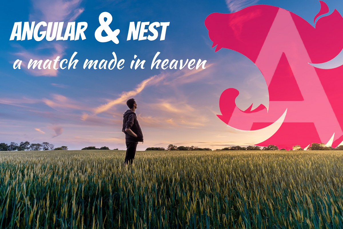 Angular & Nest, a match made in heaven | by Kevin Kreuzer | Medium
