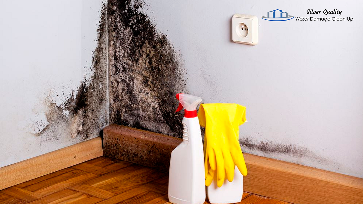 Tips for Effective Mold Removal in Basements and Crawlspaces | by