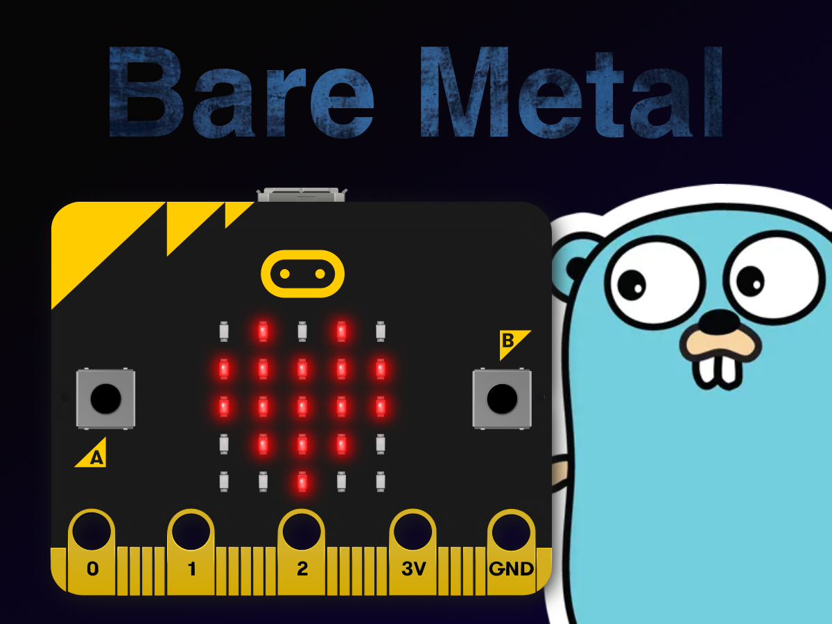 Bare Metal Go on micro:bit V2 Go