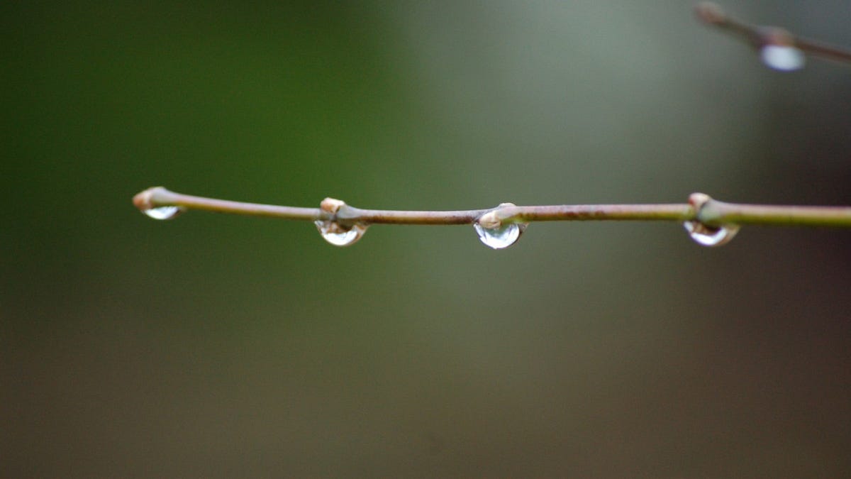 sounds-of-rain-thunder-here-are-some-youtube-videos-that-can-by