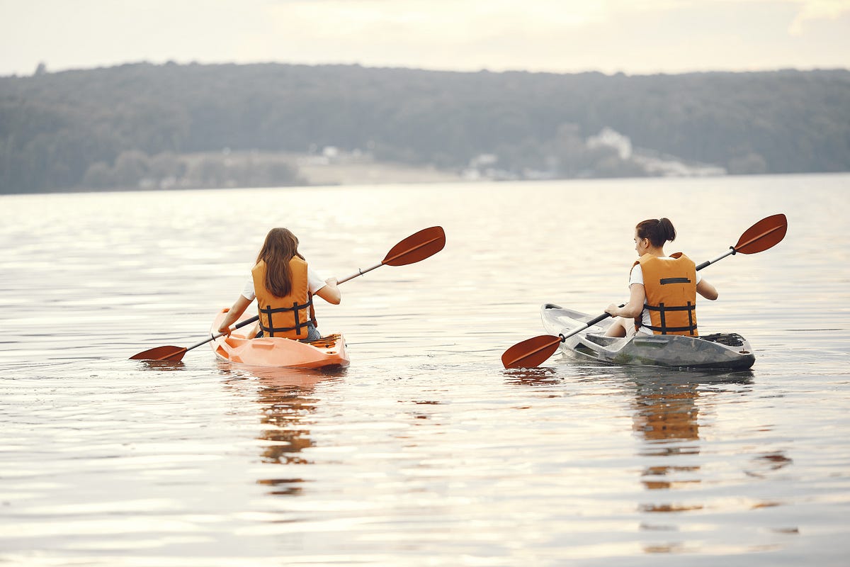 Exploring Marine Wildlife through Kayak Seattle A Unique Adventure