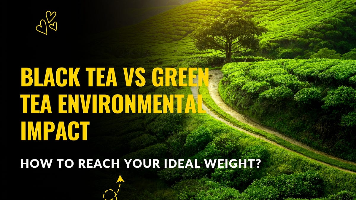 Black Tea vs Green Tea Environmental Impact by Mikles Westberry Jun