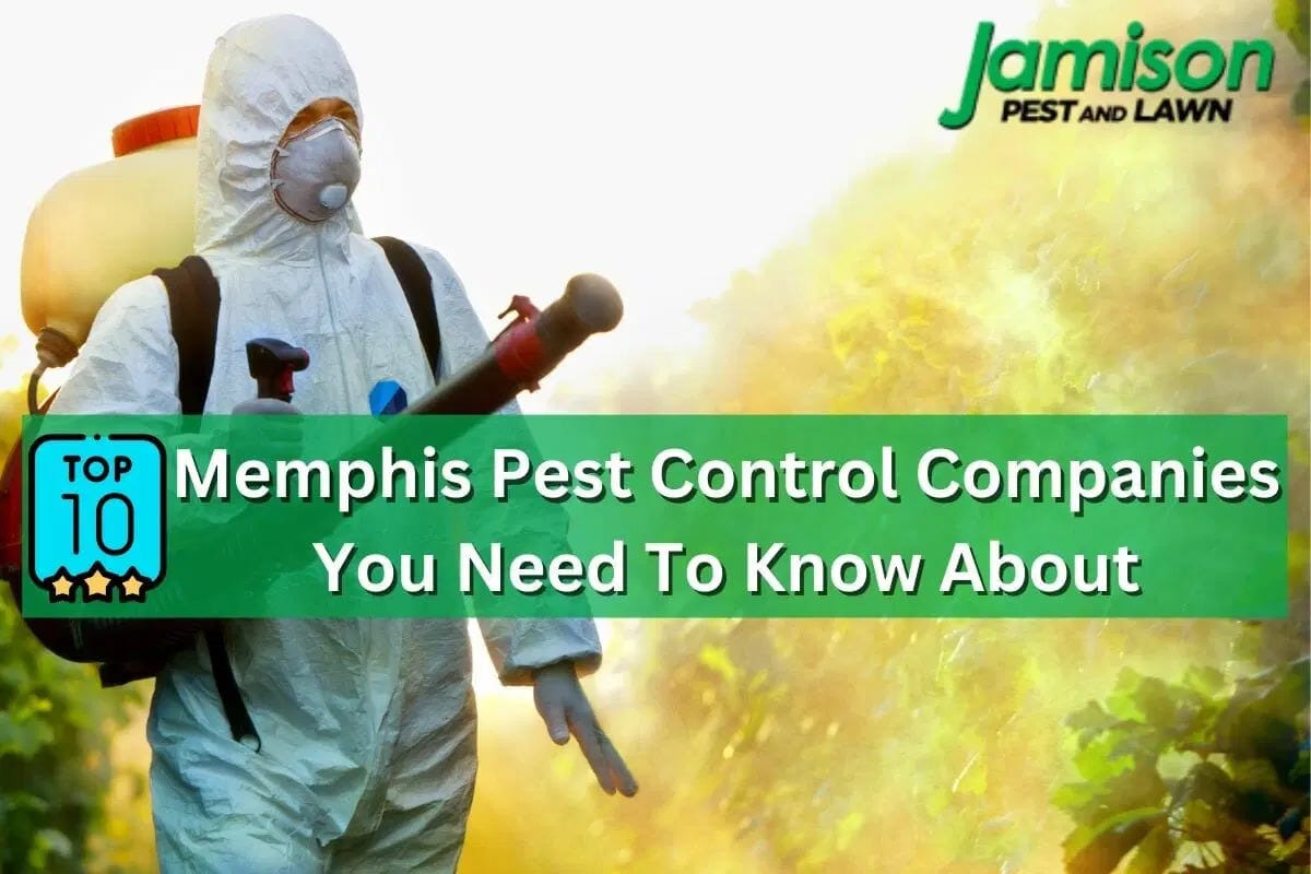 Top 10 Memphis Pest Control Companies You Need To Know About Jamison
