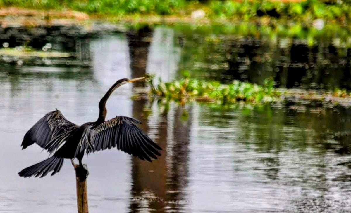 Unconditional Positive Regard Accept One Another By Mukund Mishra unconditional-positive-regard-accept-one-another-by-mukund-mishra
