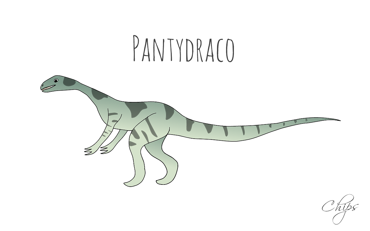 Pantydraco Caducus At First Glance You Might Think By Chips The pantydraco-caducus-at-first-glance-you-might-think-by-chips-the