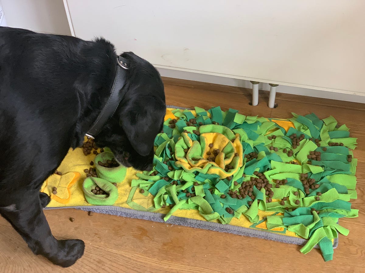 Snuffle Mats 101, Puppy Training