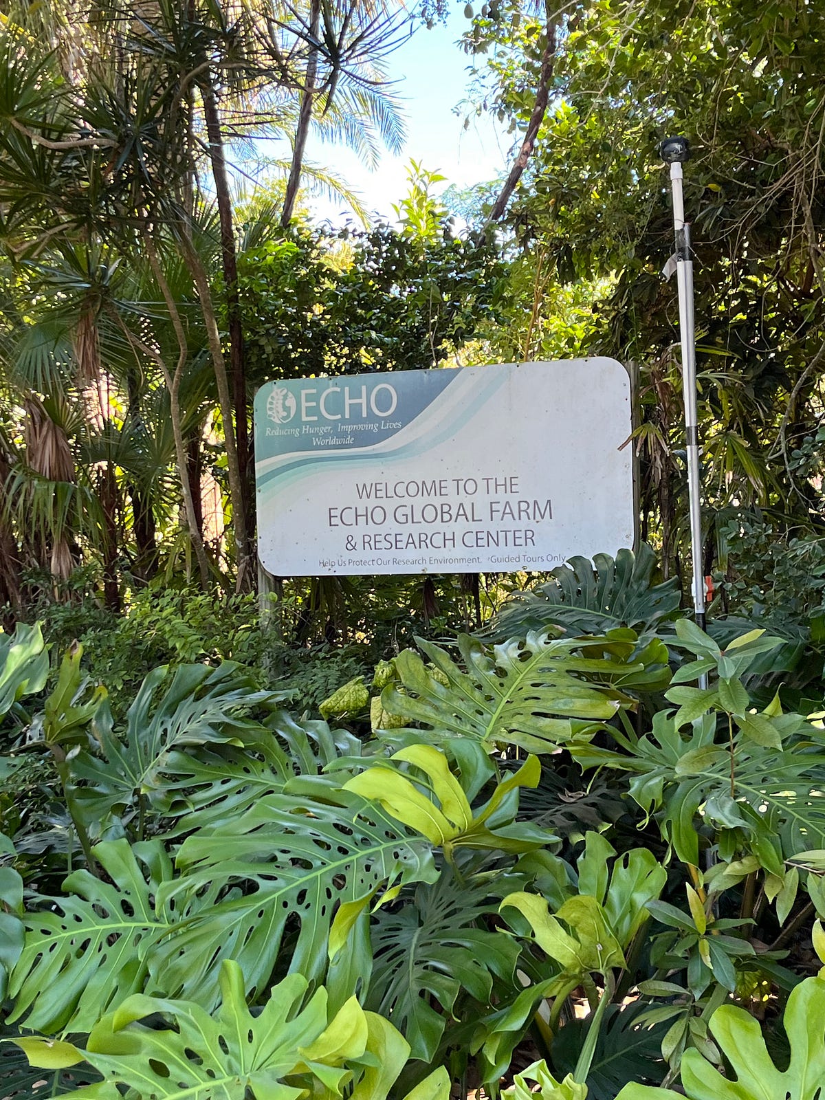 journal-4-echo-farms-and-the-food-footprint-by-arianna-mar-2024