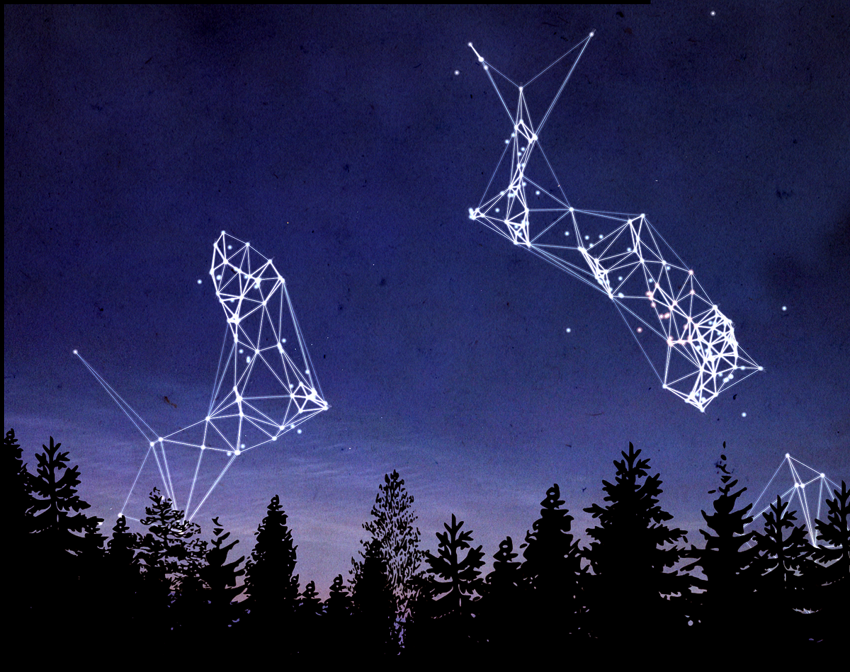 Площадь созвездия. Созвездие АС. Мэппинг с созвездиями. АСУ Созвездие 2015 шифр. Zhongli Full Constellation.
