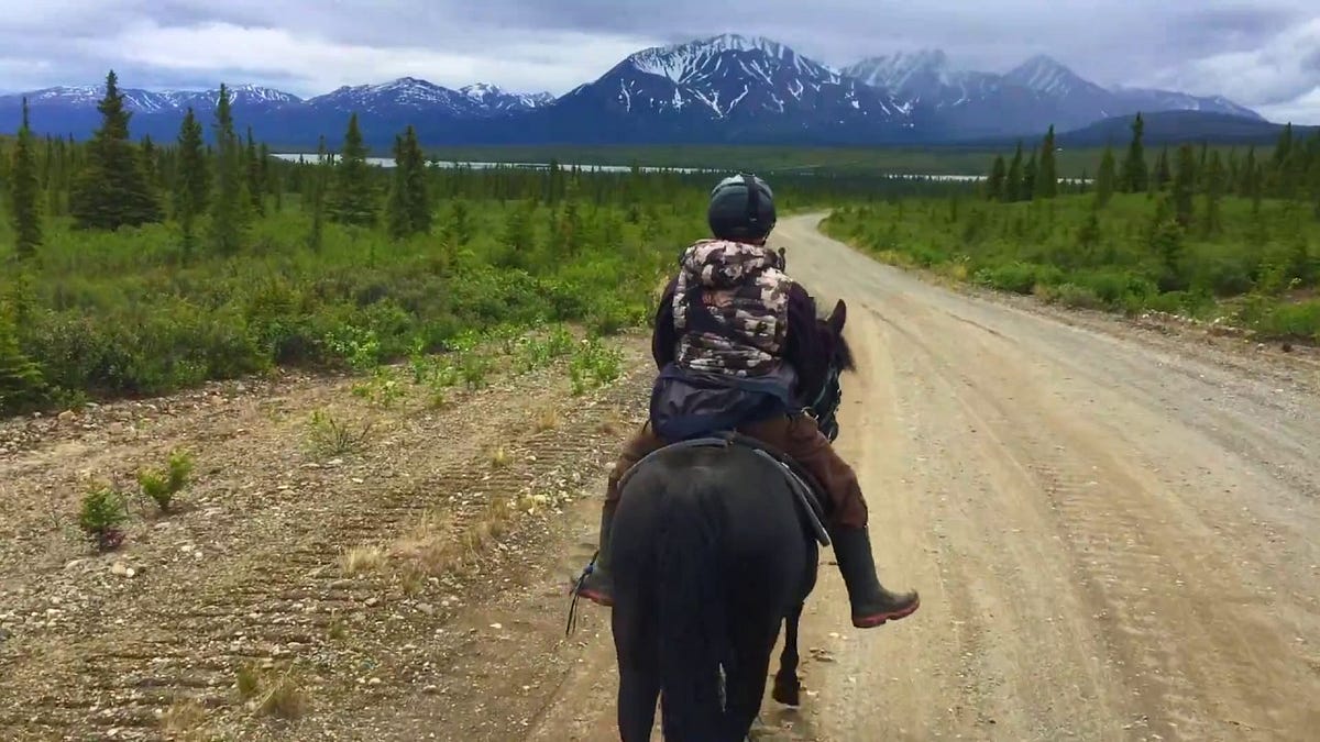 Unveiling Alaska’s Splendors: Embarking on Epic Expeditions with Alex 