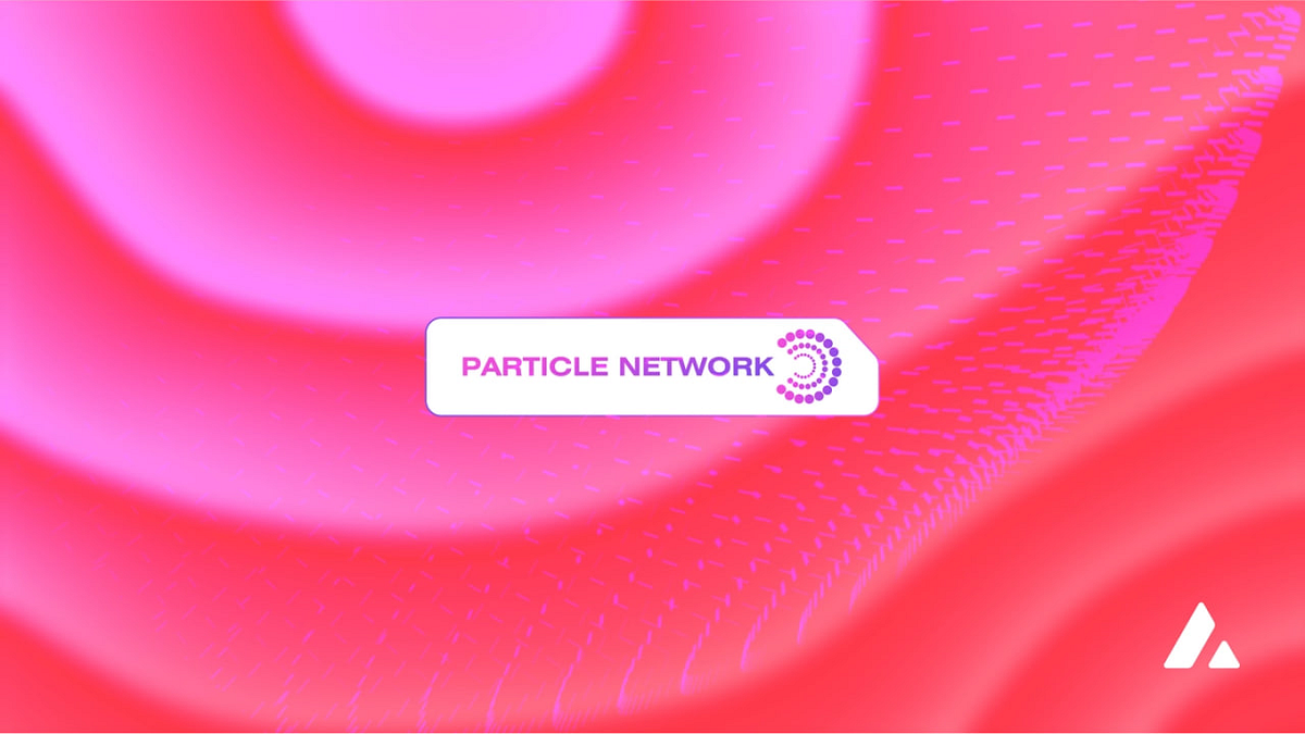 Particle Network đưa Particle Chain đến với Avalanche. | by Team1 Việt ...