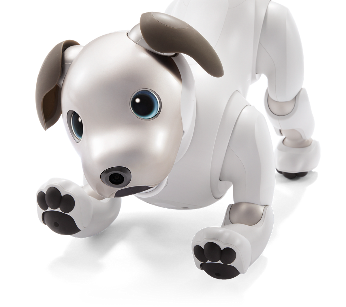 New Aibo delivers the tech of today | by Sohrab Osati | Sony