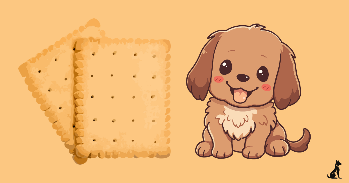 Can Dogs Have Graham Crackers? A Comprehensive Guide For 2024 by Pets