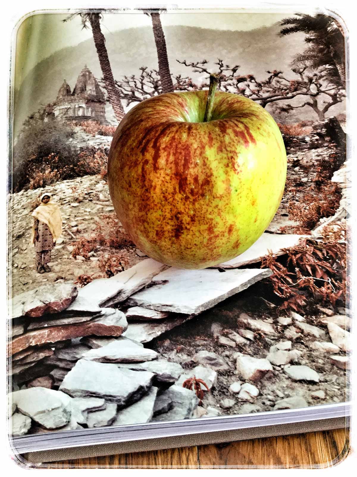 Wat is dat dan Een [Foto]?. Om te beginnen is een [foto] platter… by Kees de Graaff Medium