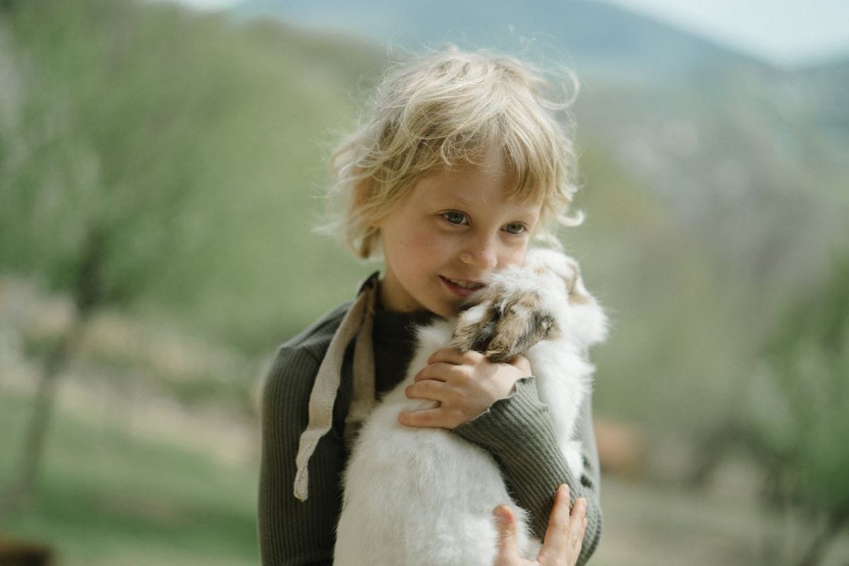 Amazing Reasons Why Rabbits Make Good Pets for Everyone | Medium