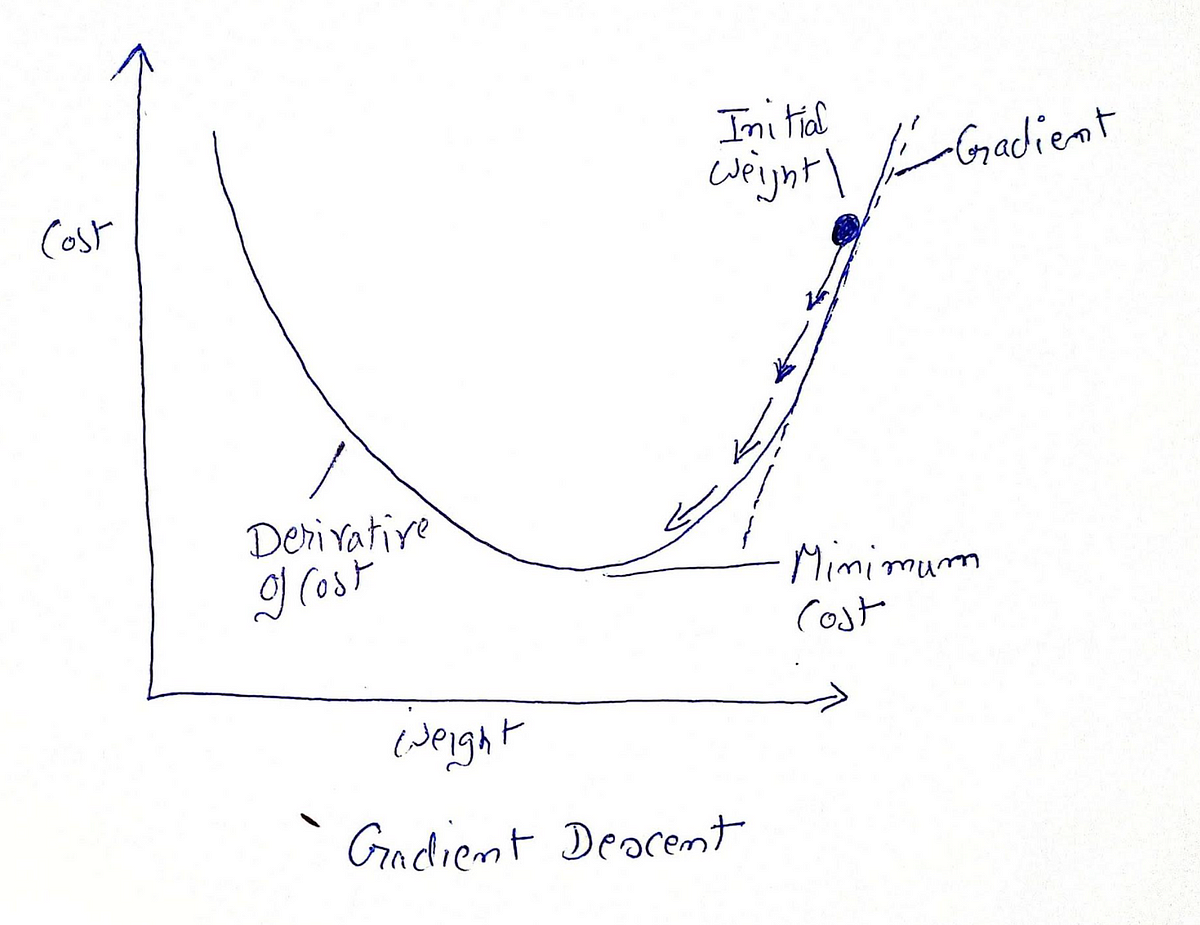 Gradient Descent Algorithm. Gradient descent is a fundamental… | by ...