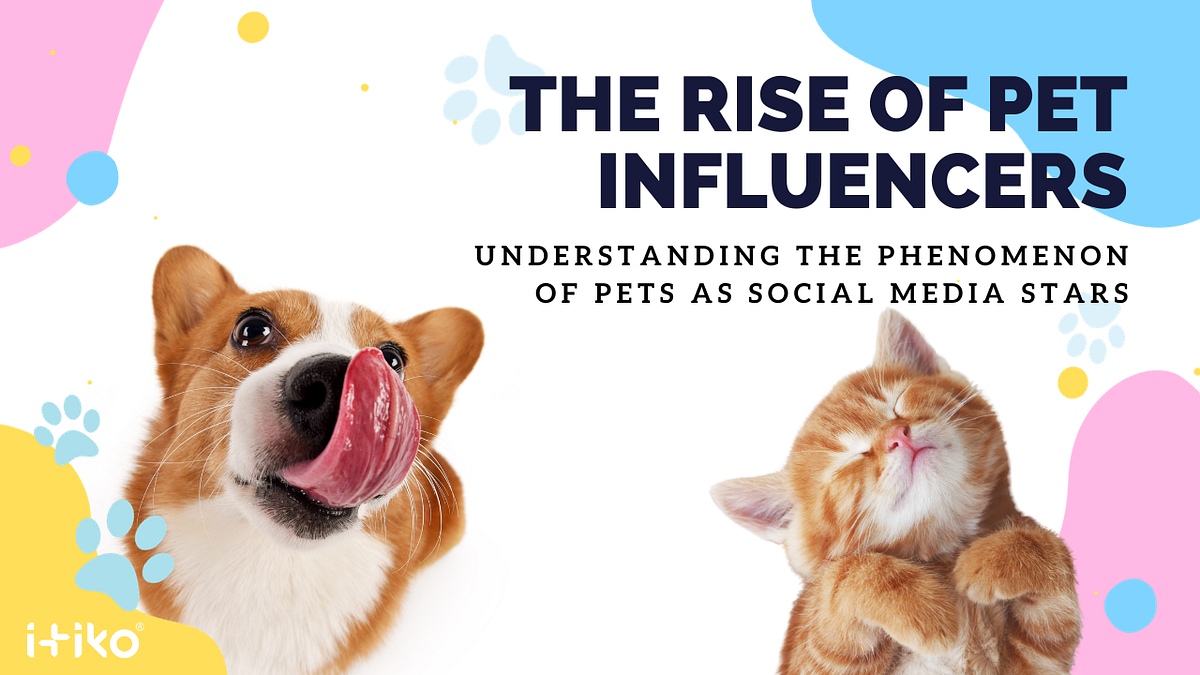 The Rise of Sociamediagirls: Understanding the Phenomenon of Social Media Influencers