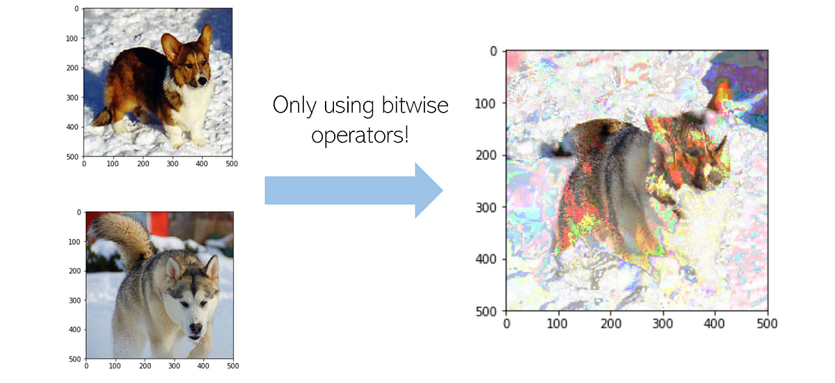 Altering and Merging Photos With Python Bitwise Operators | by Andre Ye ...