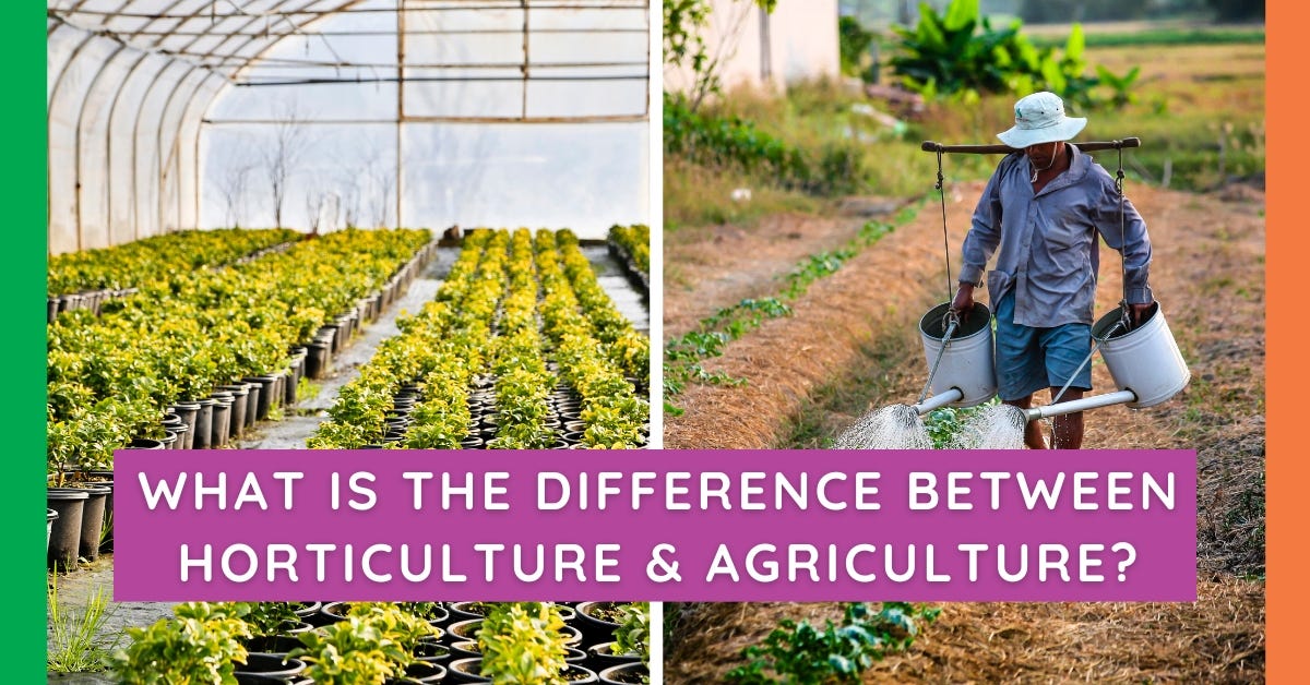 What Is The Difference Between Horticulture & Agriculture? Mark Bruce Medium