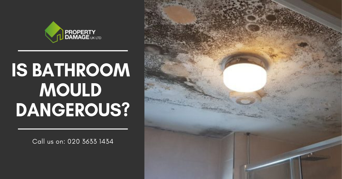 Is Bathroom Mould Dangerous?. Hey Everyone! by Property Damage UK