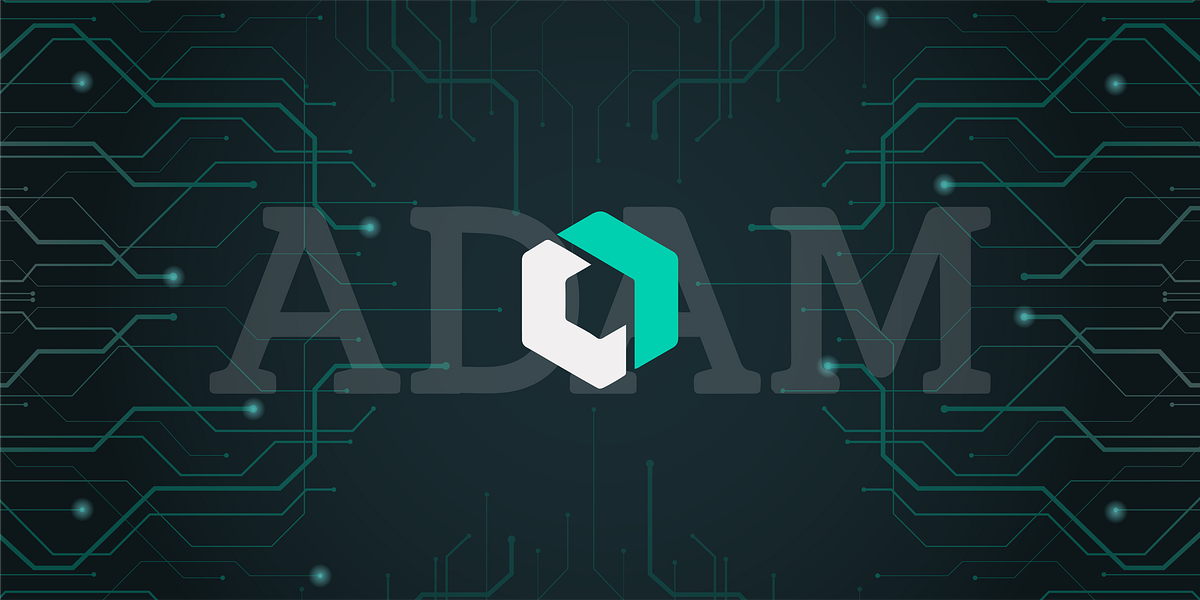 Future of Digital Asset Markets. Digital asset markets are rapidly