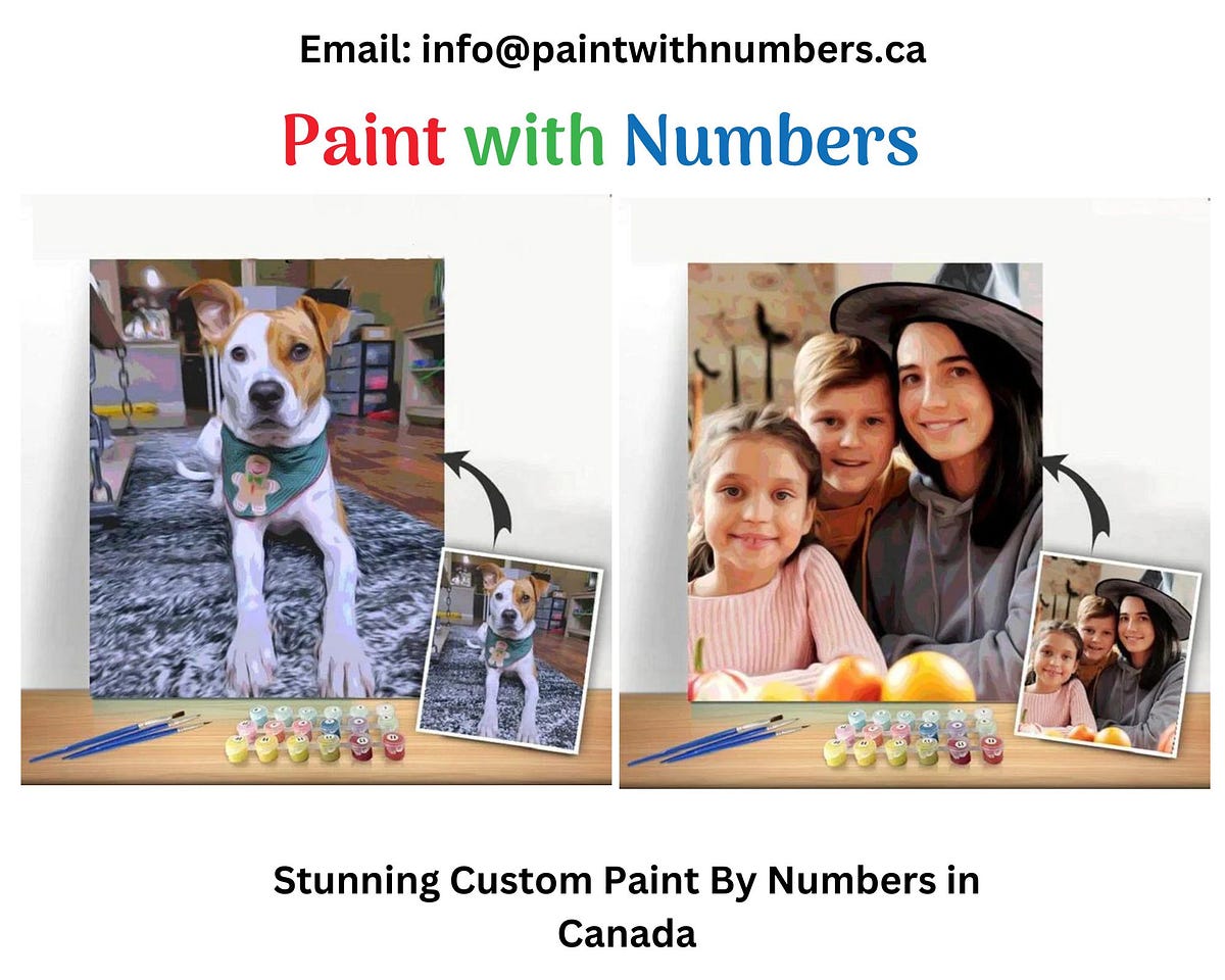Stunning Custom Paint By Numbers in Canada Paints with numbers Medium