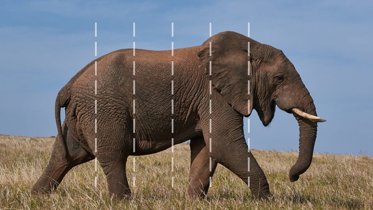 The “Salami Tactic” — How to Set Big Goals & Minimise Overwhelm by