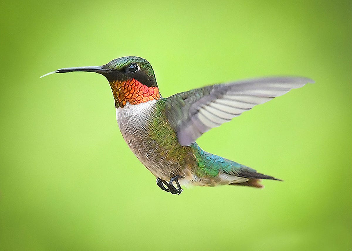 5 Incredible health benefits of ‘Humming’ by Raj S. Randhawa Jun