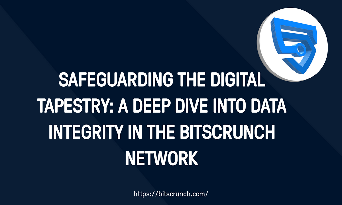 Safeguarding the Digital Tapestry: A Deep Dive into Data Integrity in the Bitscrunch Network 