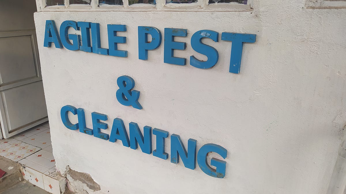 WHY PEST CONTROL IS DEEMED AN ESSENTIAL SERVICE IN NAIROBI KENYA by