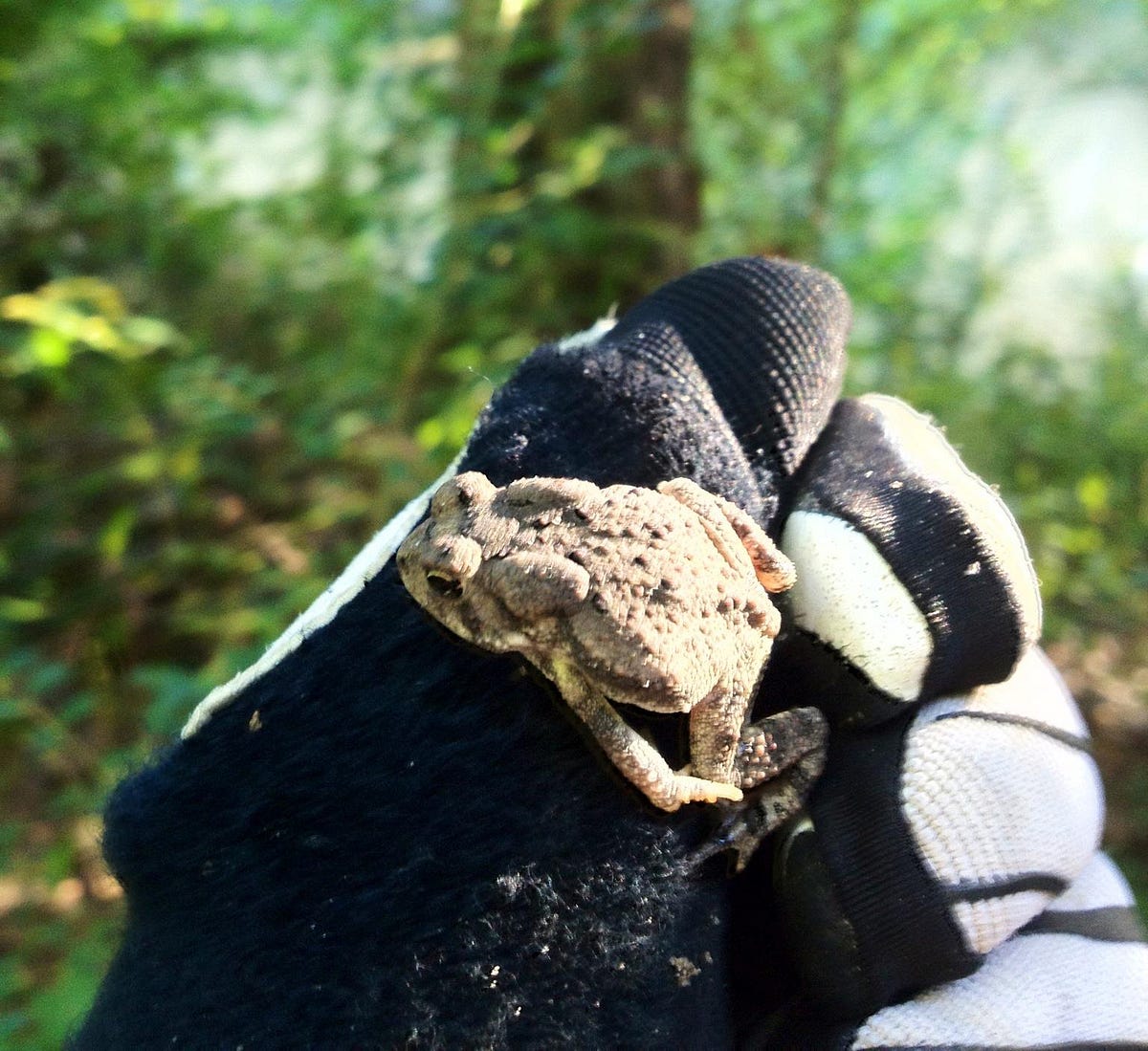 will mountain biking get me in shape