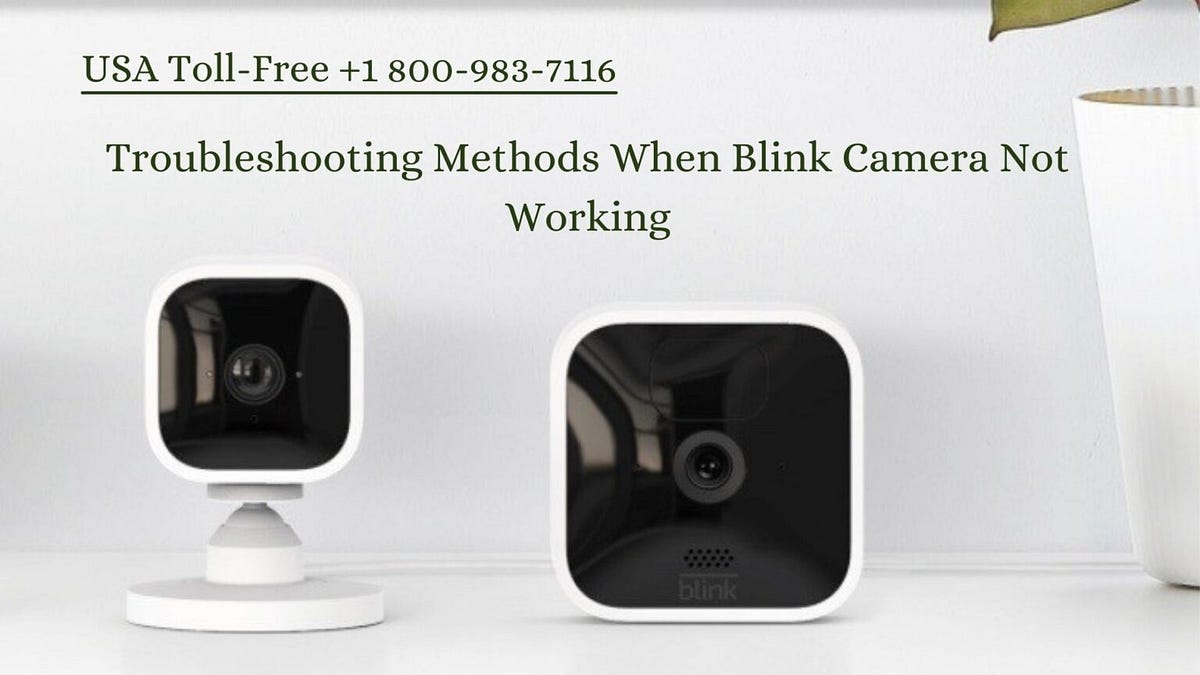 Why Is My Blink Camera Not Working? Blink Customer Service 1800983