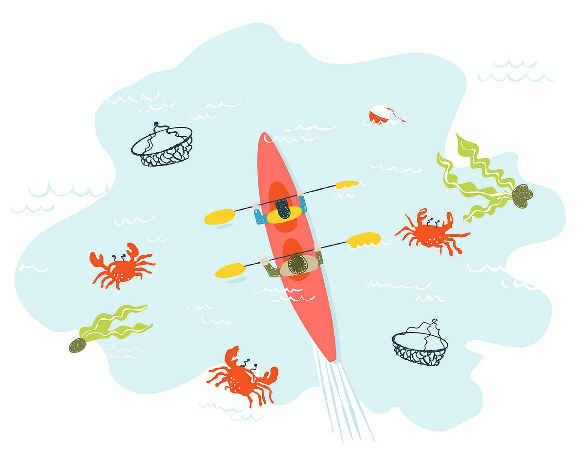 Image of: Kayaking with the Crab Fishermen of Bodega Bay