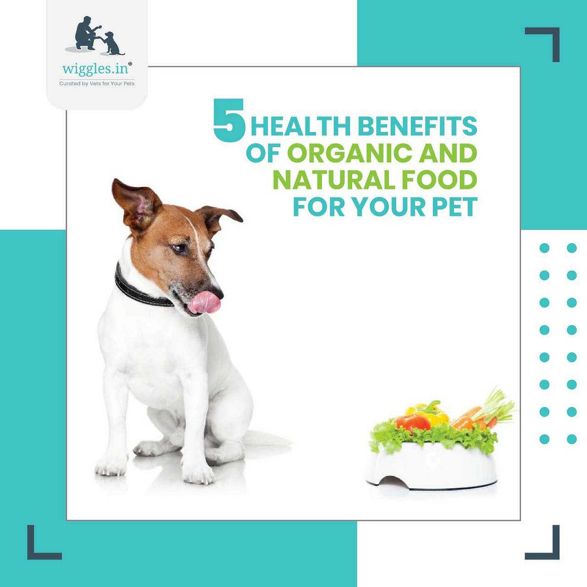 Organic Pet Food Phytosterols photo
