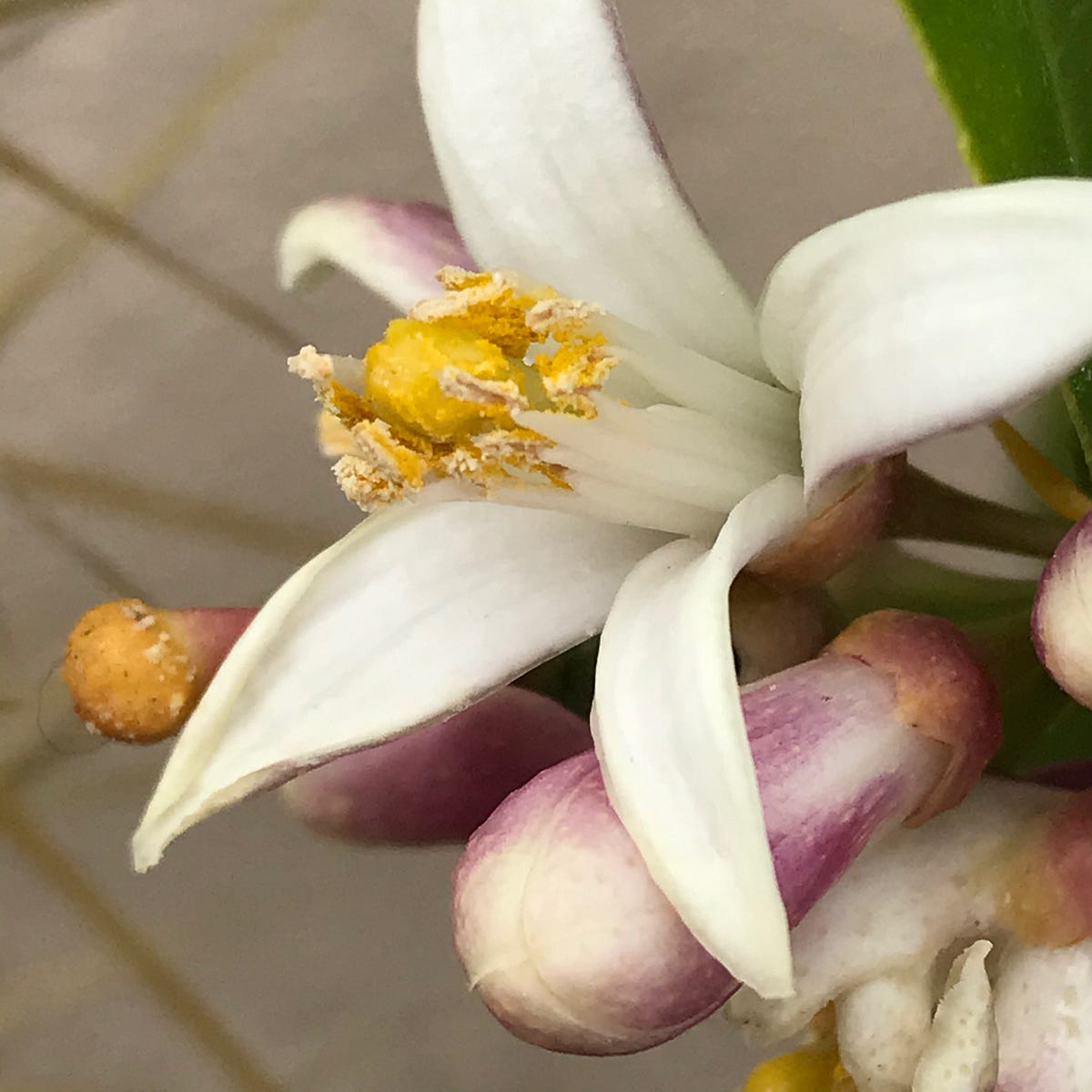 What Makes Today So Special?. What makes today so special? What makes