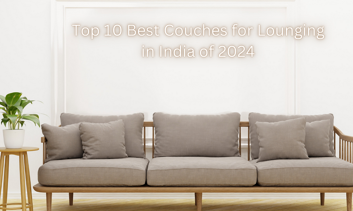 Best Budget Couches 2024 India Lishe Phillie