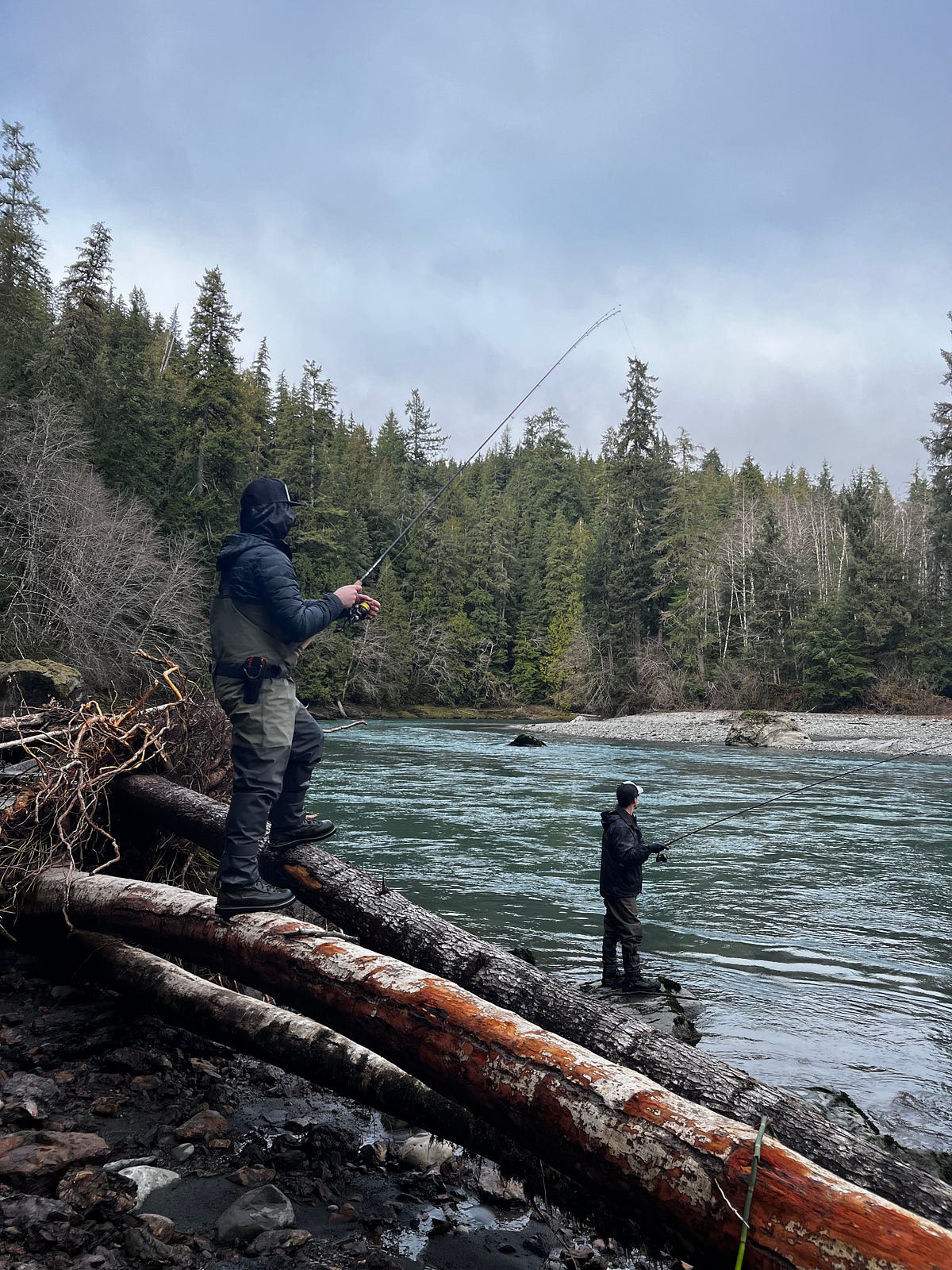 Hoh River study Does fishing from a boat affect wild steelhead catch