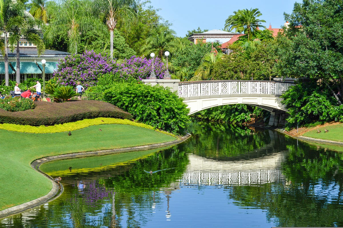 Embracing the Magic: Living in the Most Fun City in America — Orlando  by Orlando Living  Medium