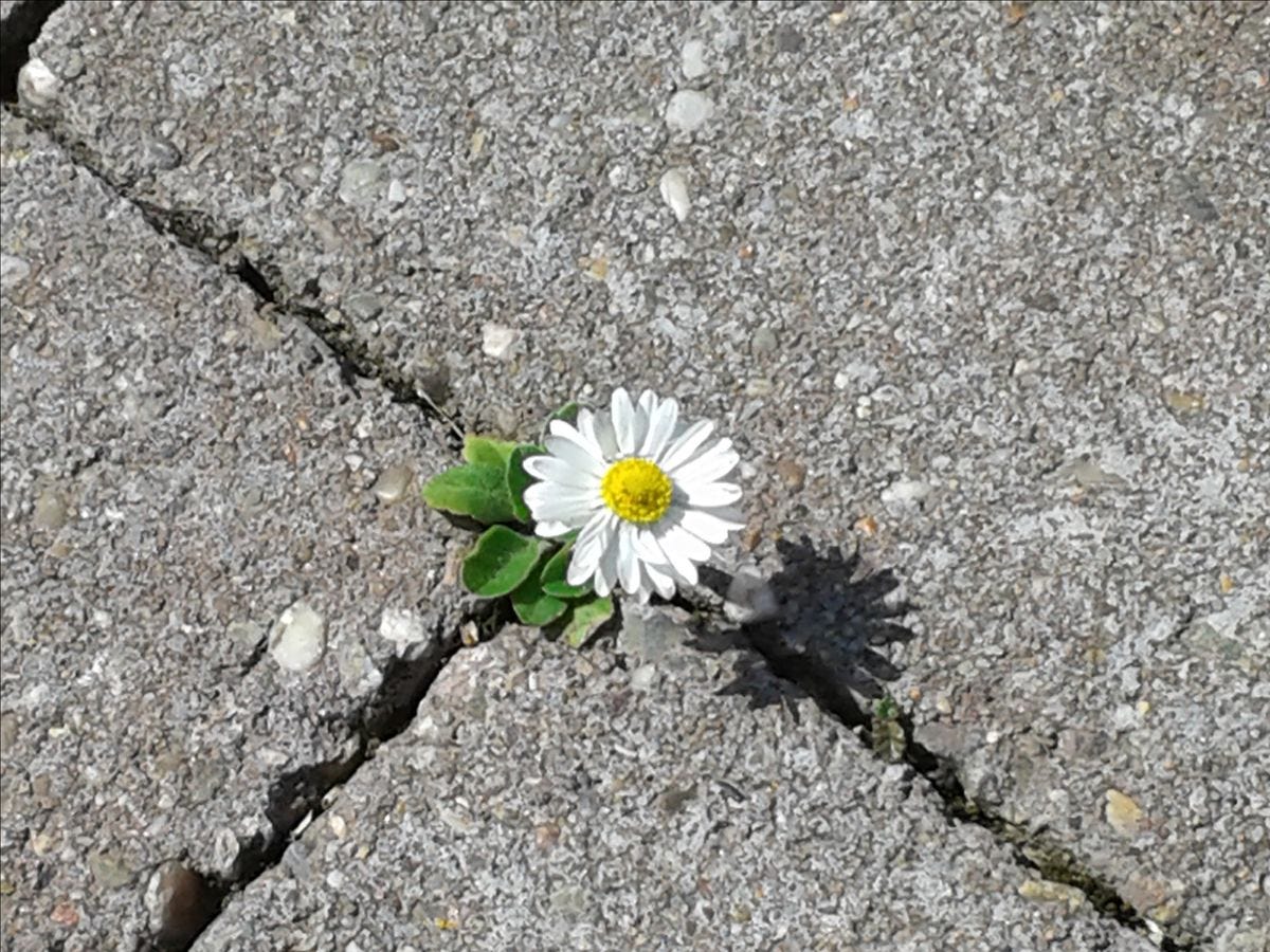 “She’s pretty,” he said, proudly.