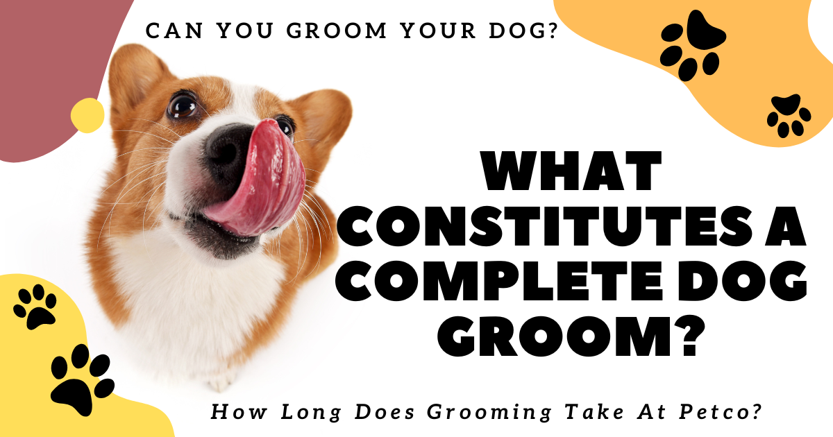 How Much Does Petco Grooming Cost? by Bestsmarts Medium