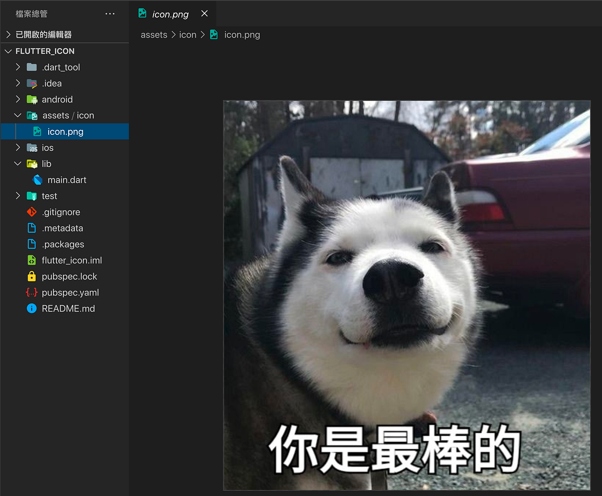flutter 快速建立雙平台 app icon. 當 flutter 開發完成後,準備上架時,需要更換 app… | by Ku Lan ...