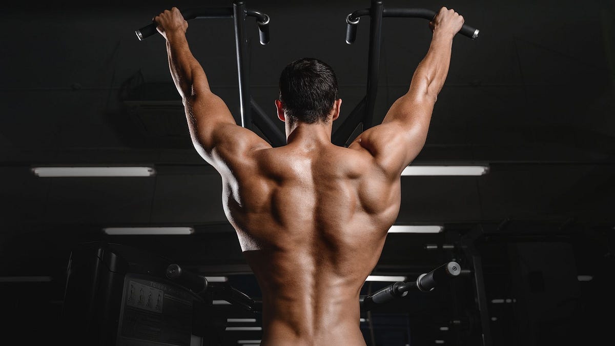 Super effective back exercises you re not doing by christopher kroon