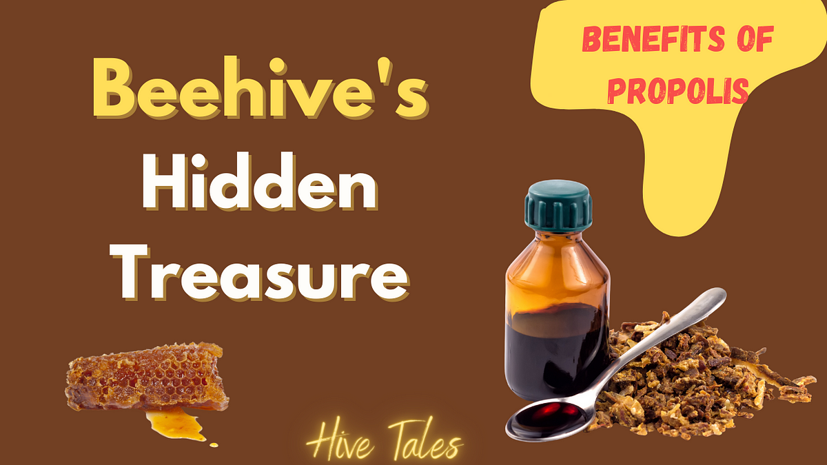 Exploring the Incredible Health Benefits of Propolis by HiveTales