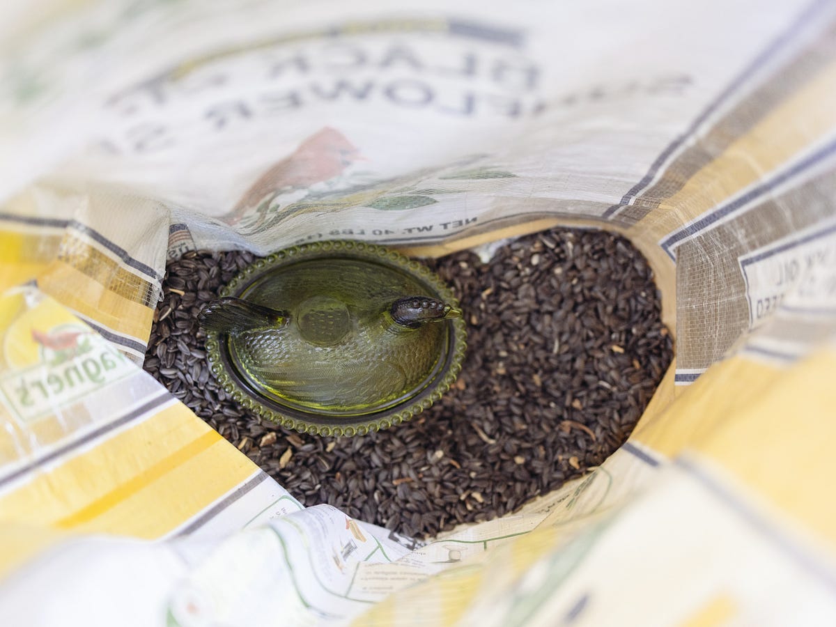 A Closer Look at the Best Black Seed Oil Brands on the Market Today