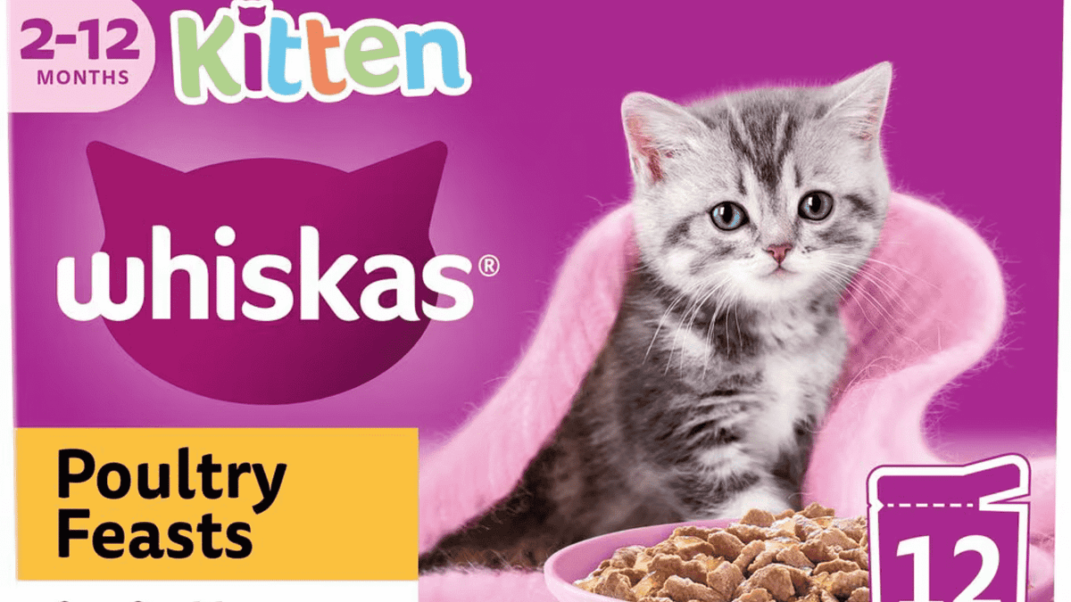 How Much Whiskas Kitten Food Should You Feed Your Feline Friend? by