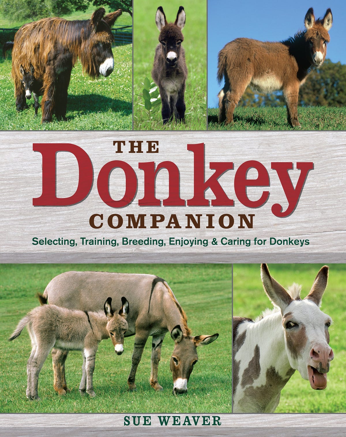 [DOWNLOAD] The Donkey Companion Selecting, Training, Breeding