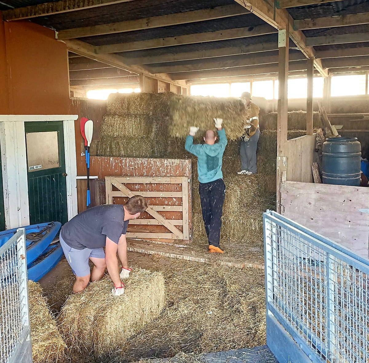 A beautiful day to make hay. Make hay while the sun shines | by Wendy ...