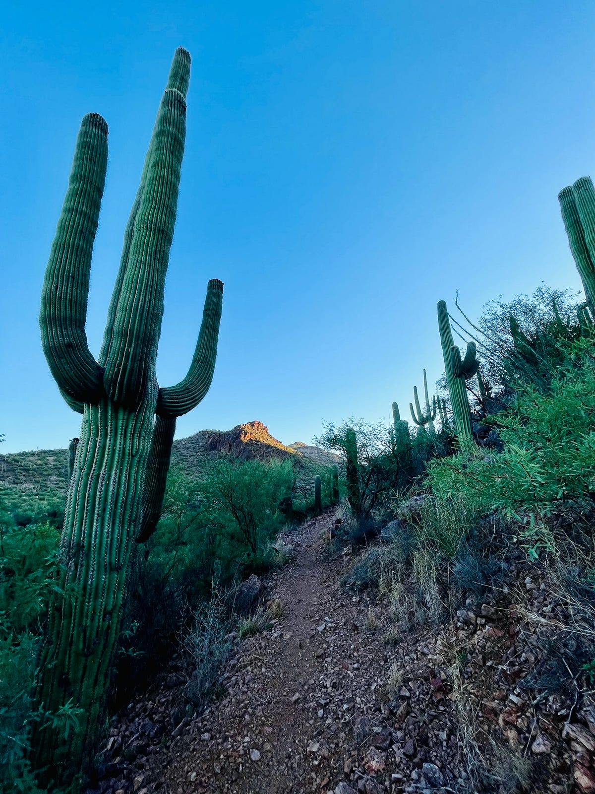 Runner’s Life Newsletter. Highlights and stories from November… by