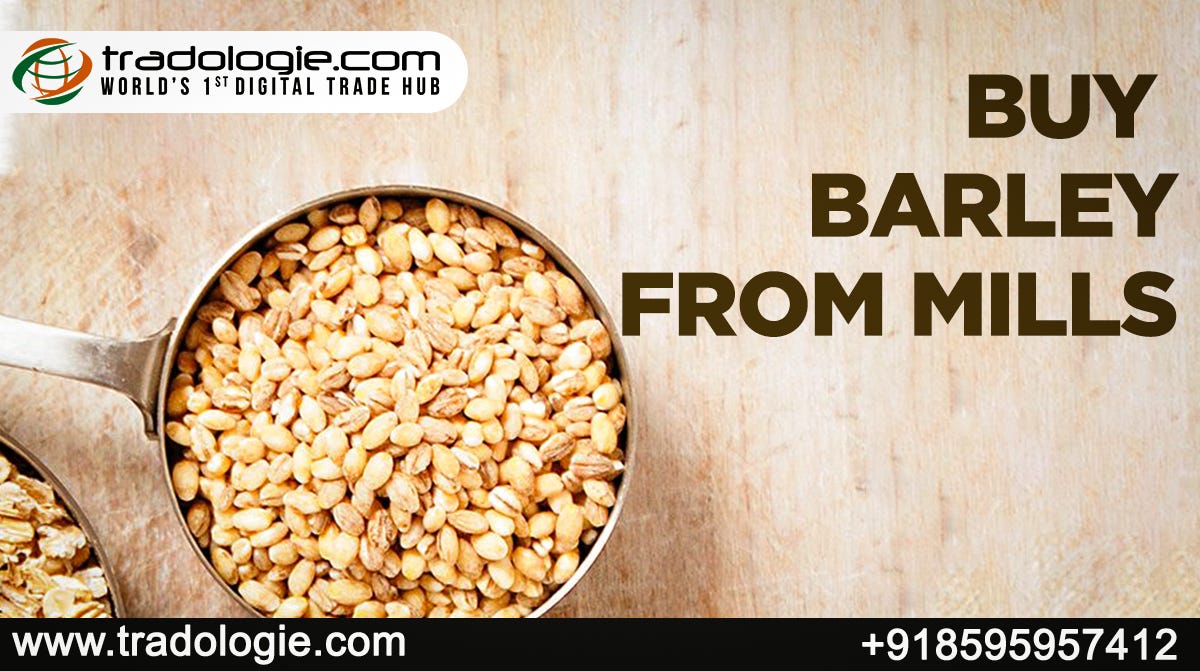 Buy Barley From Mills by Bilalabbasi Tradologie Aug, 2023 Medium