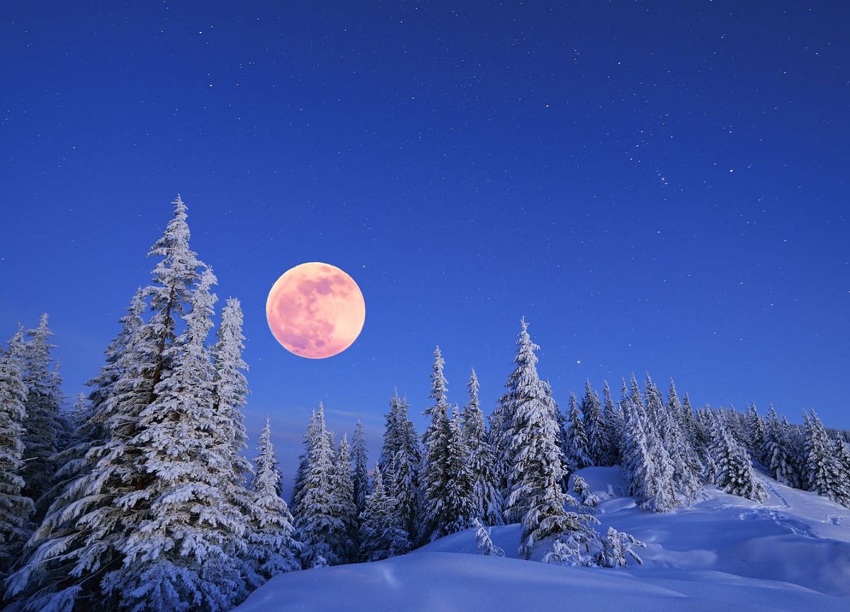I See The Moon The Moon Sees You By Sue Muncaster Crow s Feet