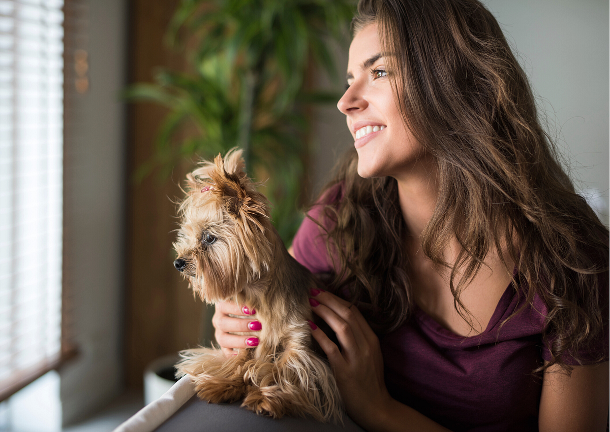 How to Travel With a Pet and Book Pet Friendly Cabins in Branson, MO